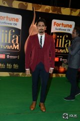 Celebs at IIFA Utsavam 2016